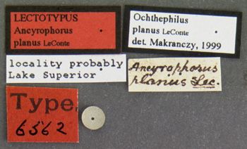 Media type: image;   Entomology 6562 Aspect: labels
